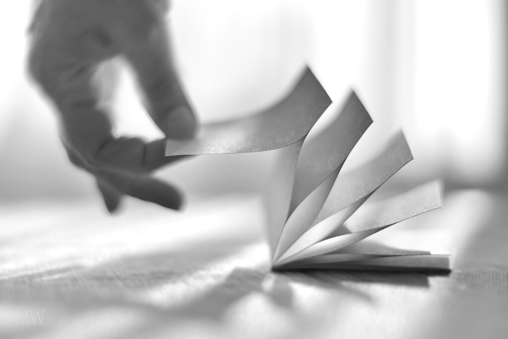 2025-05-13 no more sticky notes? by mona65