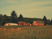 13th May 2025 - Countryside 