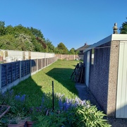 13th May 2025 - IMG_20250513_185426