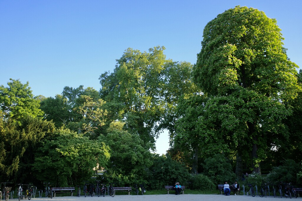 Hole in the trees by vincent24