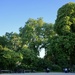 Hole in the trees