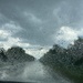 Raining cats and dogs