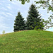 the hill is alive