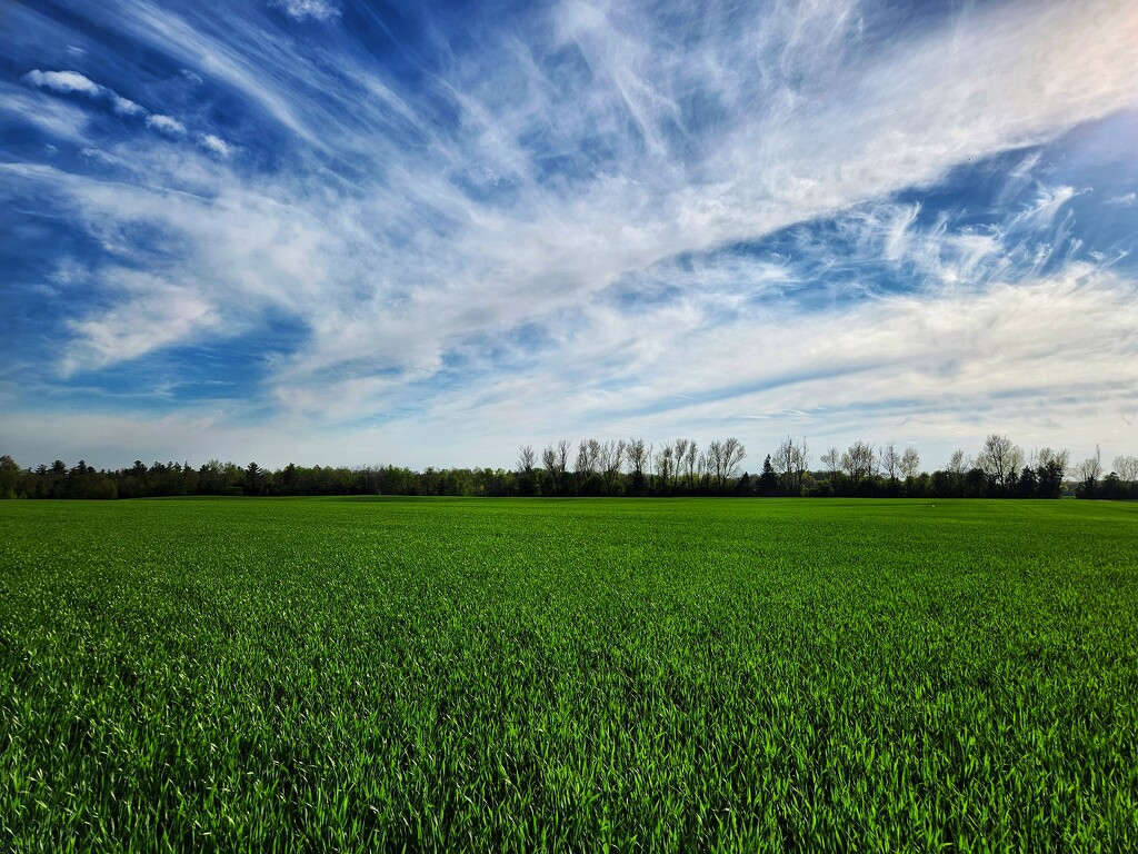 Green & Blue by ljmanning