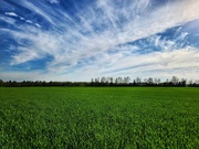 13th May 2025 - Green & Blue