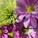 13may