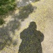 Springtime Shadows