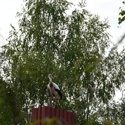 14th May 2025 - 500