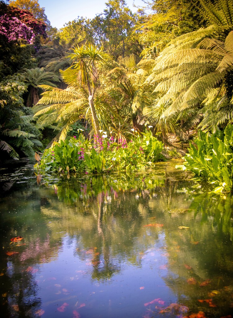 In the jungle - Heligan by swillinbillyflynn