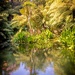 In the jungle - Heligan