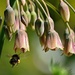 Hovering 