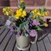 Flowers from my garden 14may25