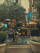 14th May 2025 - Rainy day 