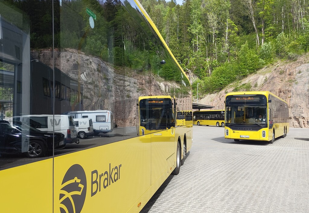 Buses by okvalle