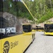 Buses