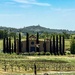 Kalmere winery and vineyard