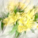 8th May 2025