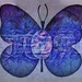 Wings of Imagination  -- WWYD