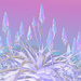 Aloes solarised 