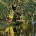 A peaceful afternoon scene at the park