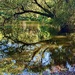 Reflections