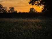 14th May 2025 - Glow