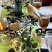 Cedar waxwings