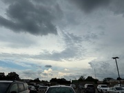 15th May 2025 - Looking Skyward