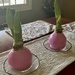 Waxed Amaryllis by essiesue