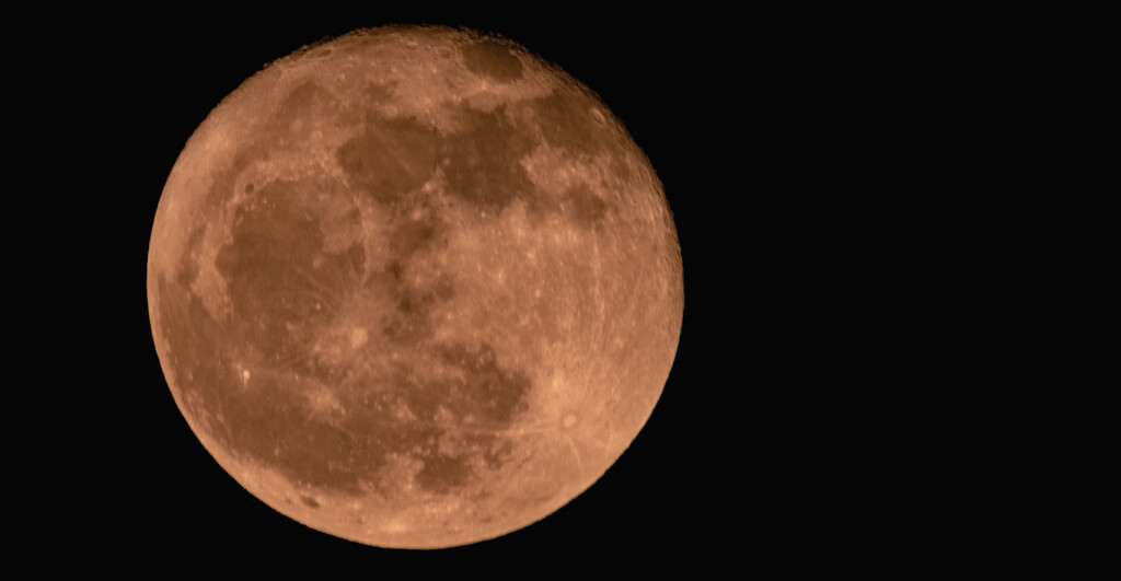 Last Night's Full Moon! by rickster549