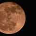 Last Night's Full Moon!