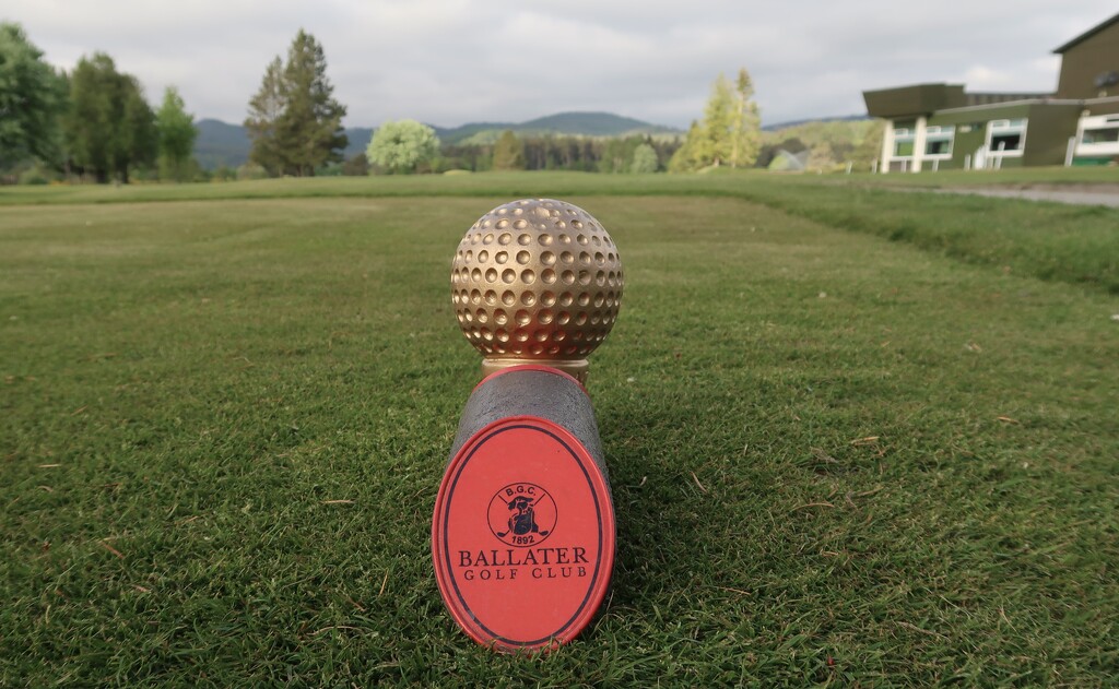 Gold Tee Markers by jamibann