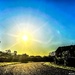 Rays of sunshine
