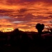 Sunset again