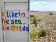 15th May 2025 - Here's Your Earworm For The Day!