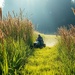 Seasons of Growth -- No Mow day 15 // May Words: New-Old