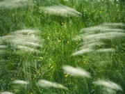15th May 2025 - Breezy