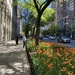 Looking down Michigan Avenue, Chicago 