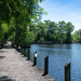 Lake in Columbia, NC