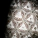 Kaléidoscope 