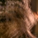Soft motion