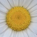 Spirals