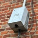 Bird House on the Fly