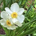 15may