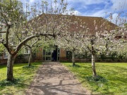 16th May 2025 - apple trees at the entrance...