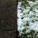 The Hail You Say