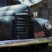 BACKROAD BEAUTY ....HARDER TO FIND