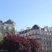 trees & buildings