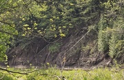 16th May 2025 - A Steep Incline