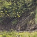 A Steep Incline